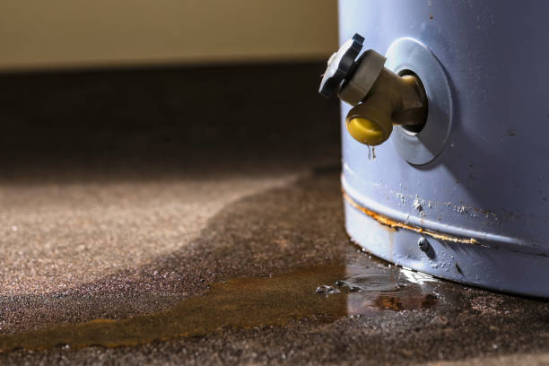 Best Water damage cleanup near me  in Navy Yard City, WA