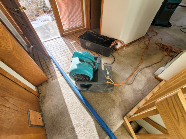 Best Basement water damage restoration  in Navy Yard City, WA