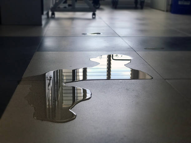 Best 24-hour water damage restoration  in Navy Yard City, WA